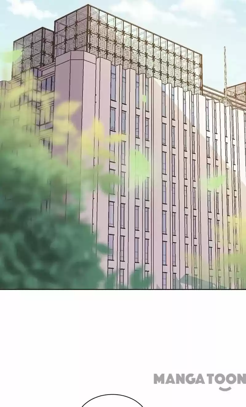 Evolution Of A Perfect Hubby Chapter 147