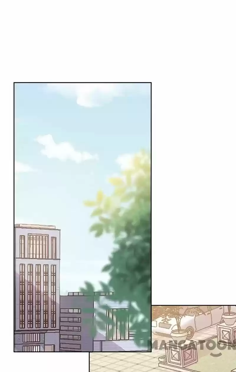 Evolution Of A Perfect Hubby Chapter 147