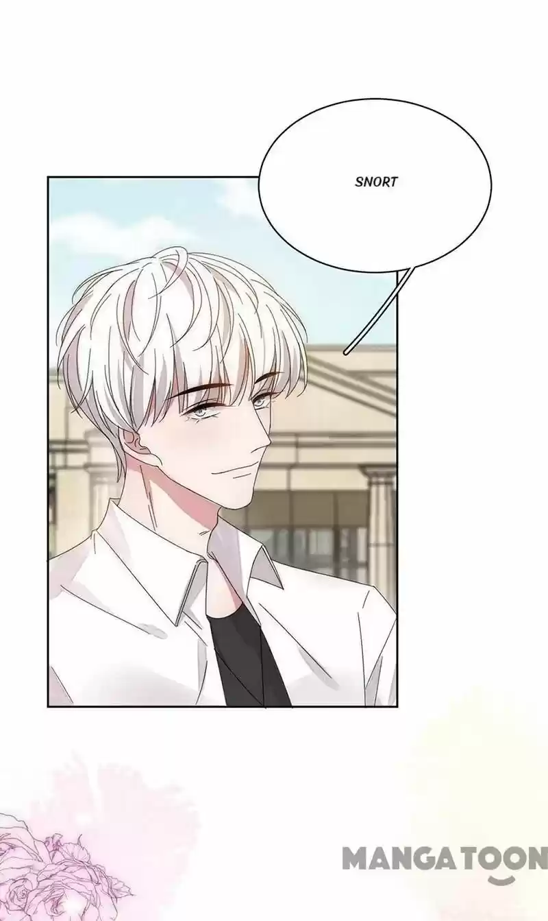 Evolution Of A Perfect Hubby Chapter 148