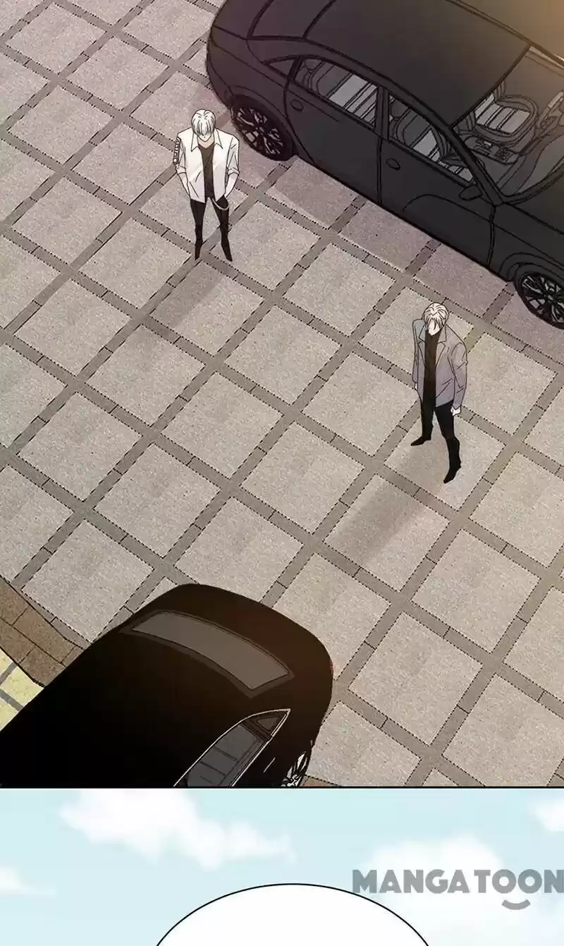 Evolution Of A Perfect Hubby Chapter 148