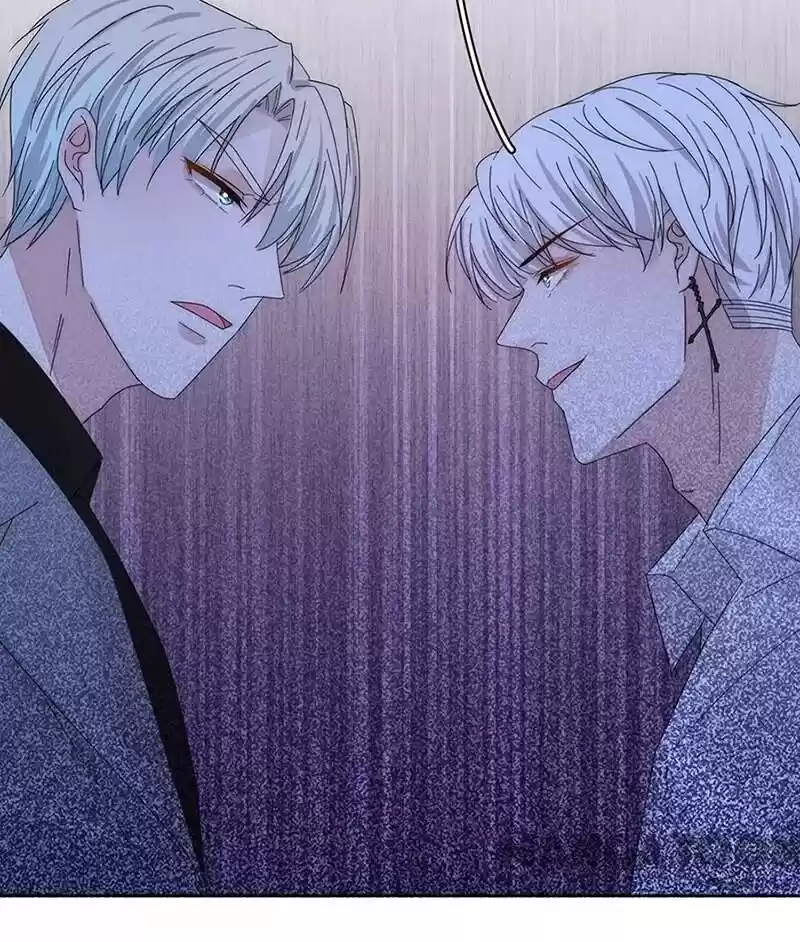 Evolution Of A Perfect Hubby Chapter 148