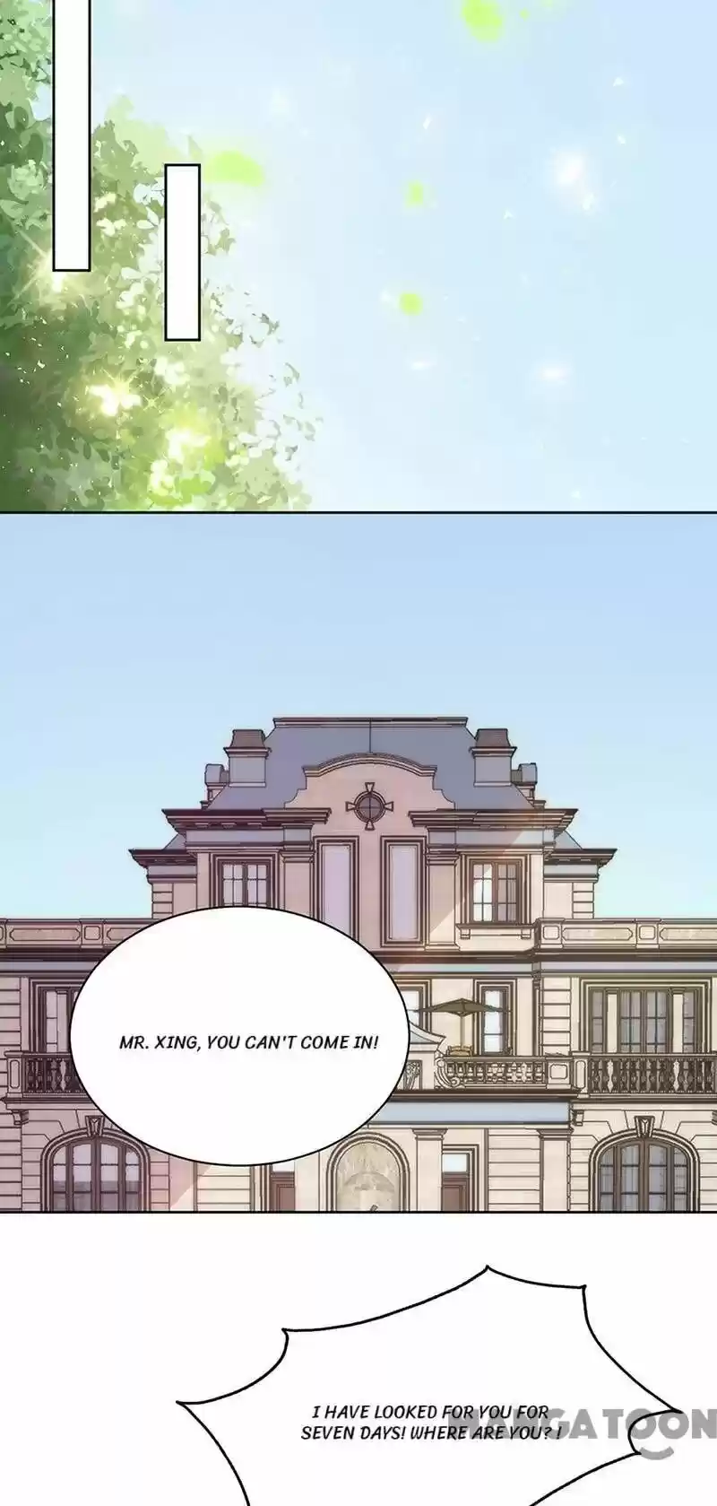 Evolution Of A Perfect Hubby Chapter 149