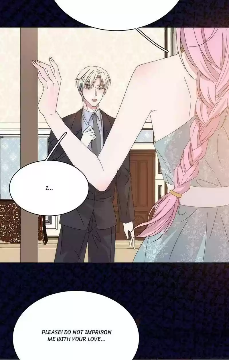 Evolution Of A Perfect Hubby Chapter 150