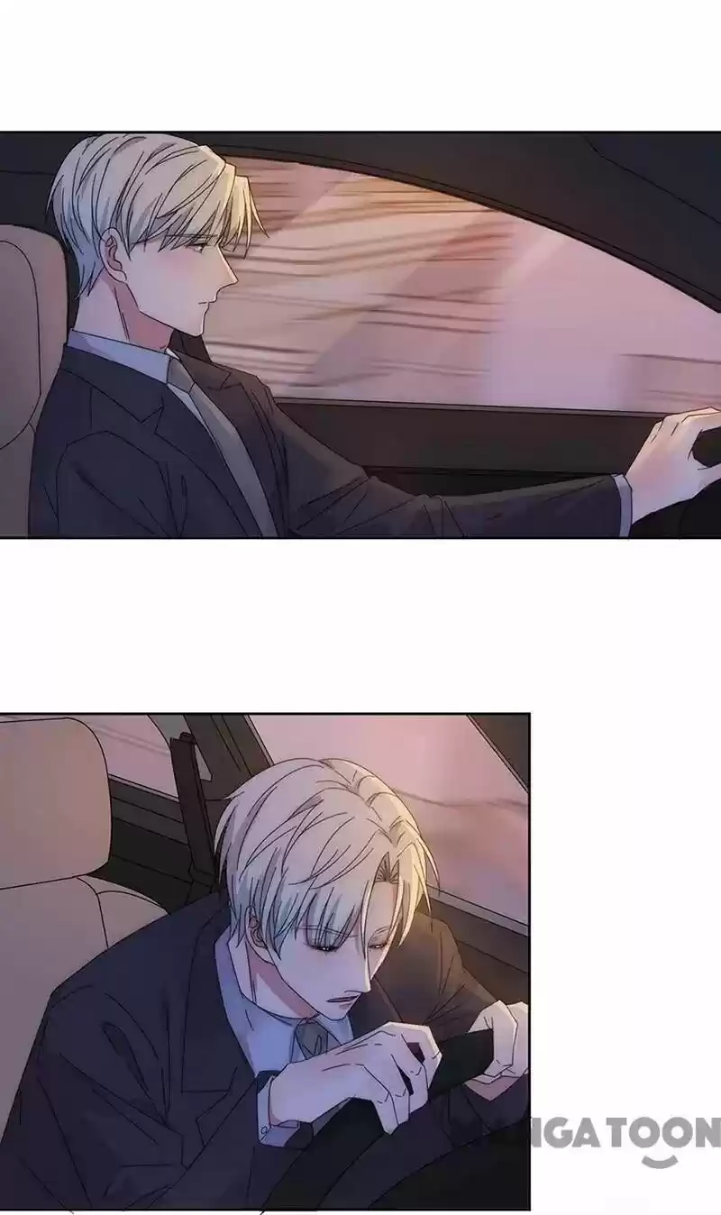 Evolution Of A Perfect Hubby Chapter 151