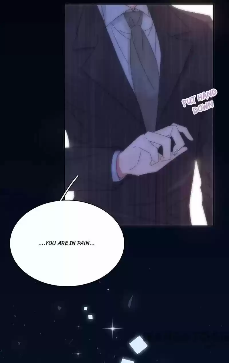 Evolution Of A Perfect Hubby Chapter 151