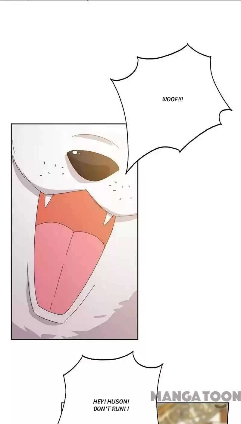 Evolution Of A Perfect Hubby Chapter 151