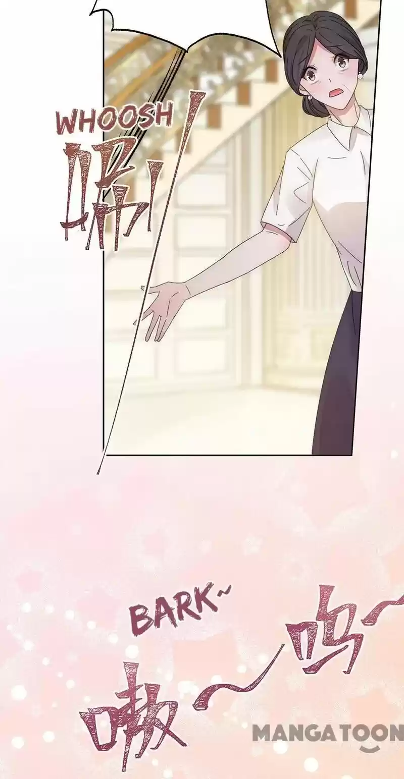 Evolution Of A Perfect Hubby Chapter 151