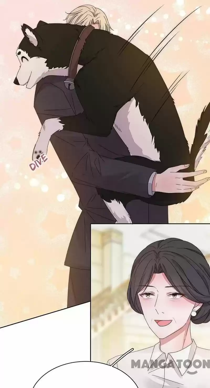 Evolution Of A Perfect Hubby Chapter 151