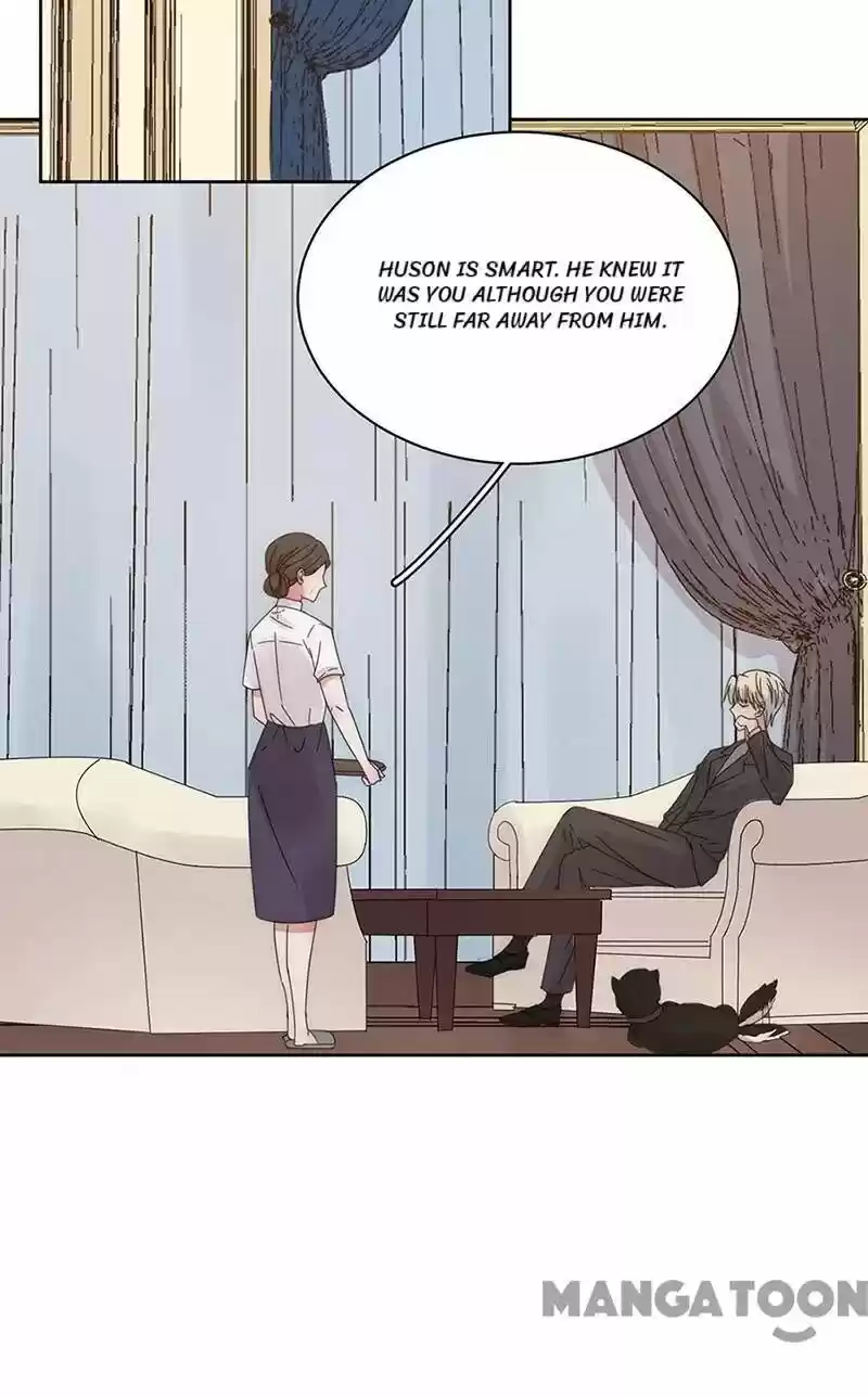 Evolution Of A Perfect Hubby Chapter 151