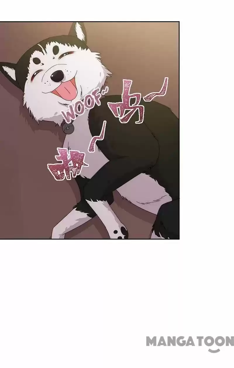 Evolution Of A Perfect Hubby Chapter 151