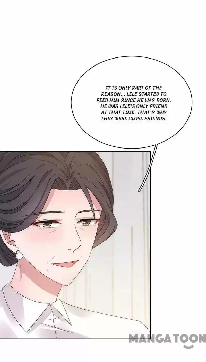 Evolution Of A Perfect Hubby Chapter 151