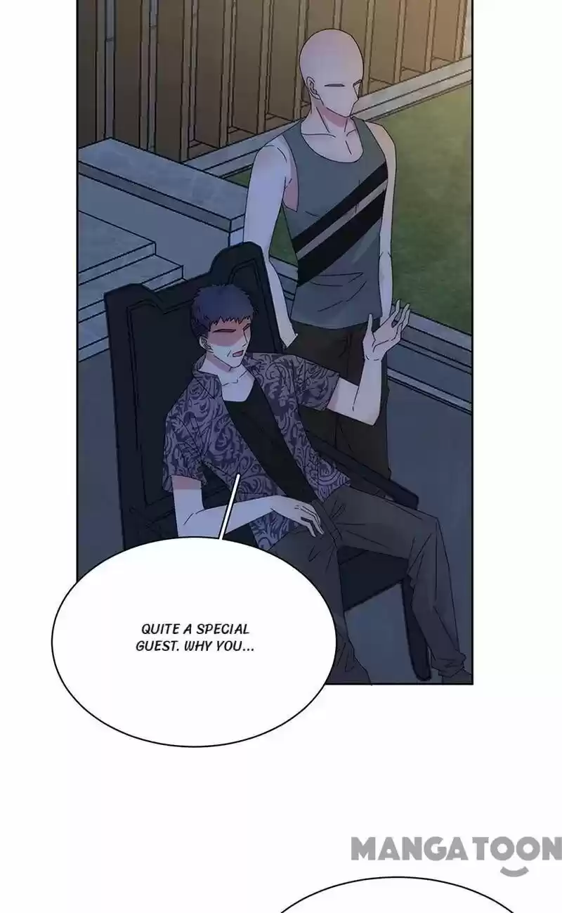 Evolution Of A Perfect Hubby Chapter 152