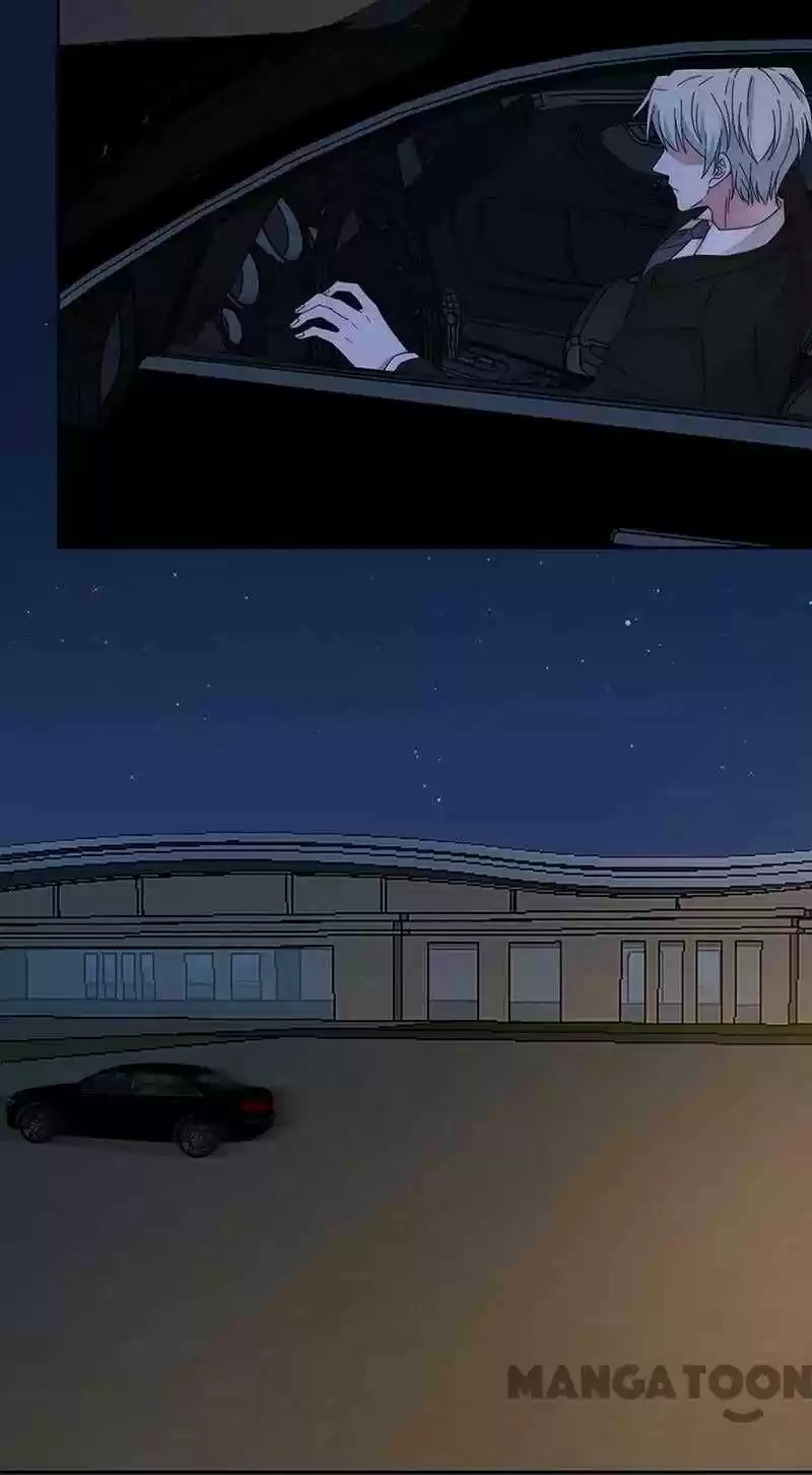 Evolution Of A Perfect Hubby Chapter 156