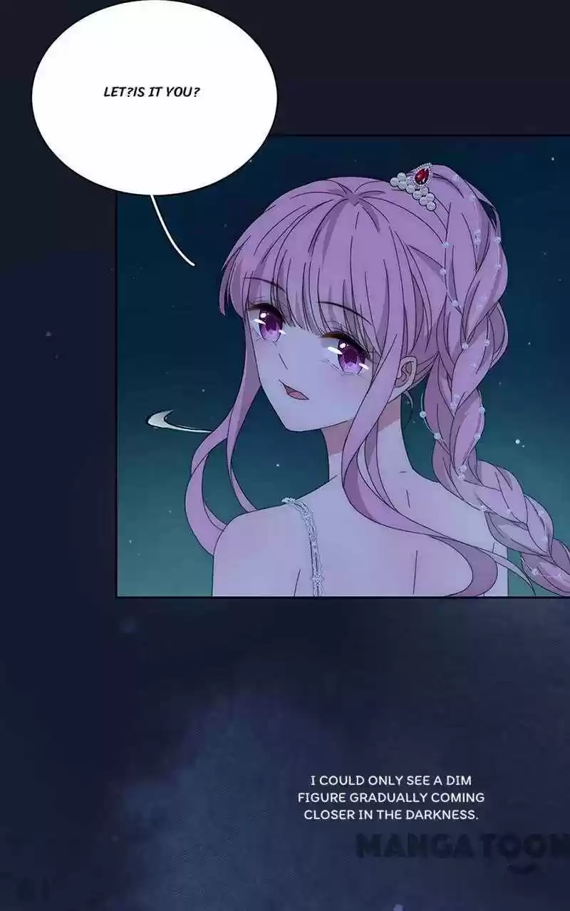 Evolution Of A Perfect Hubby Chapter 156