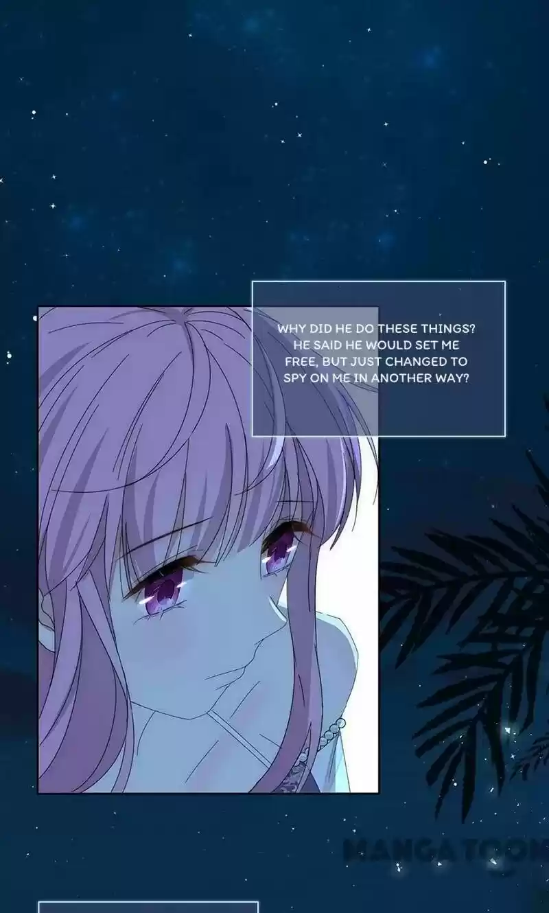 Evolution Of A Perfect Hubby Chapter 158