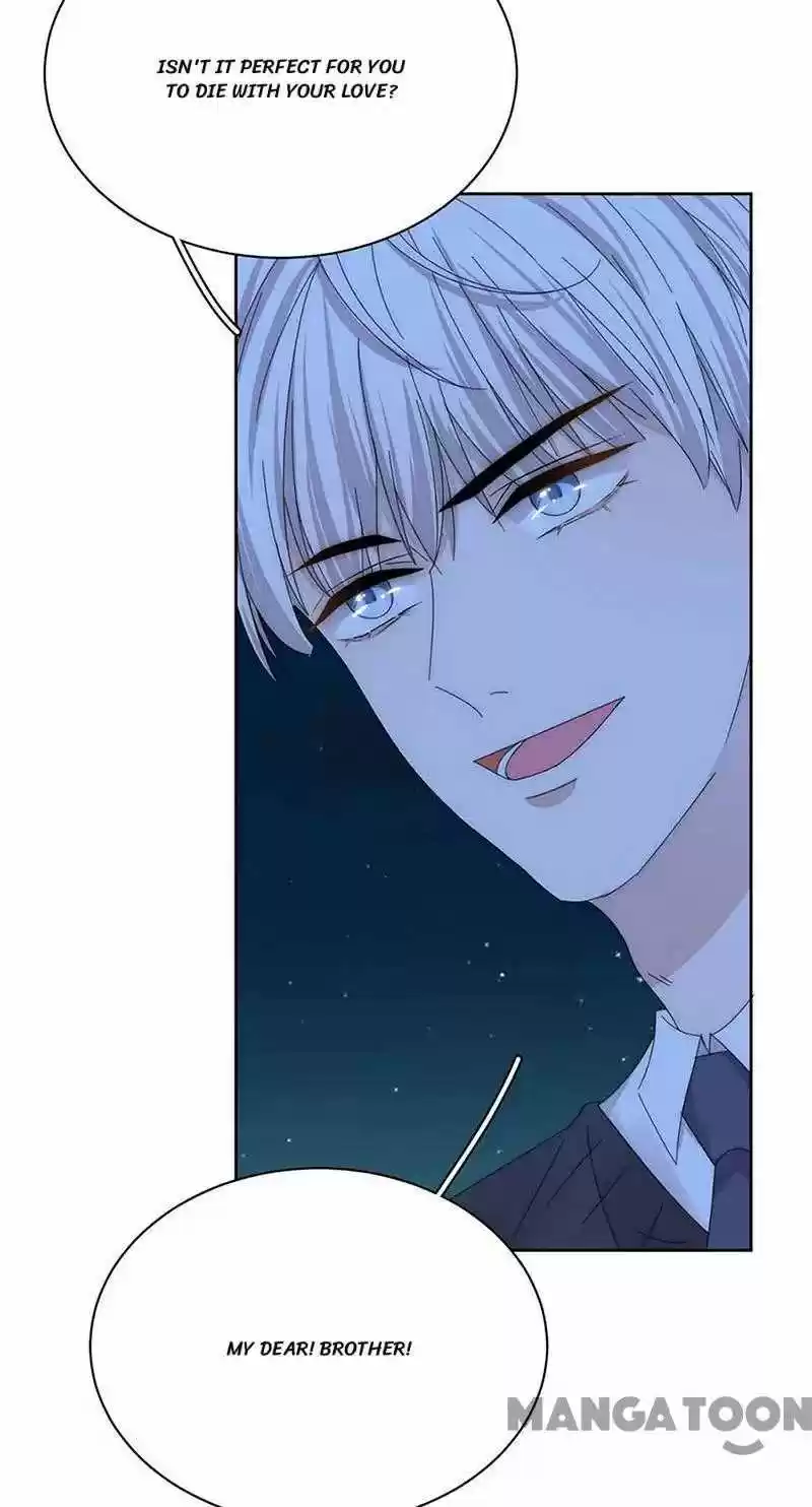 Evolution Of A Perfect Hubby Chapter 160