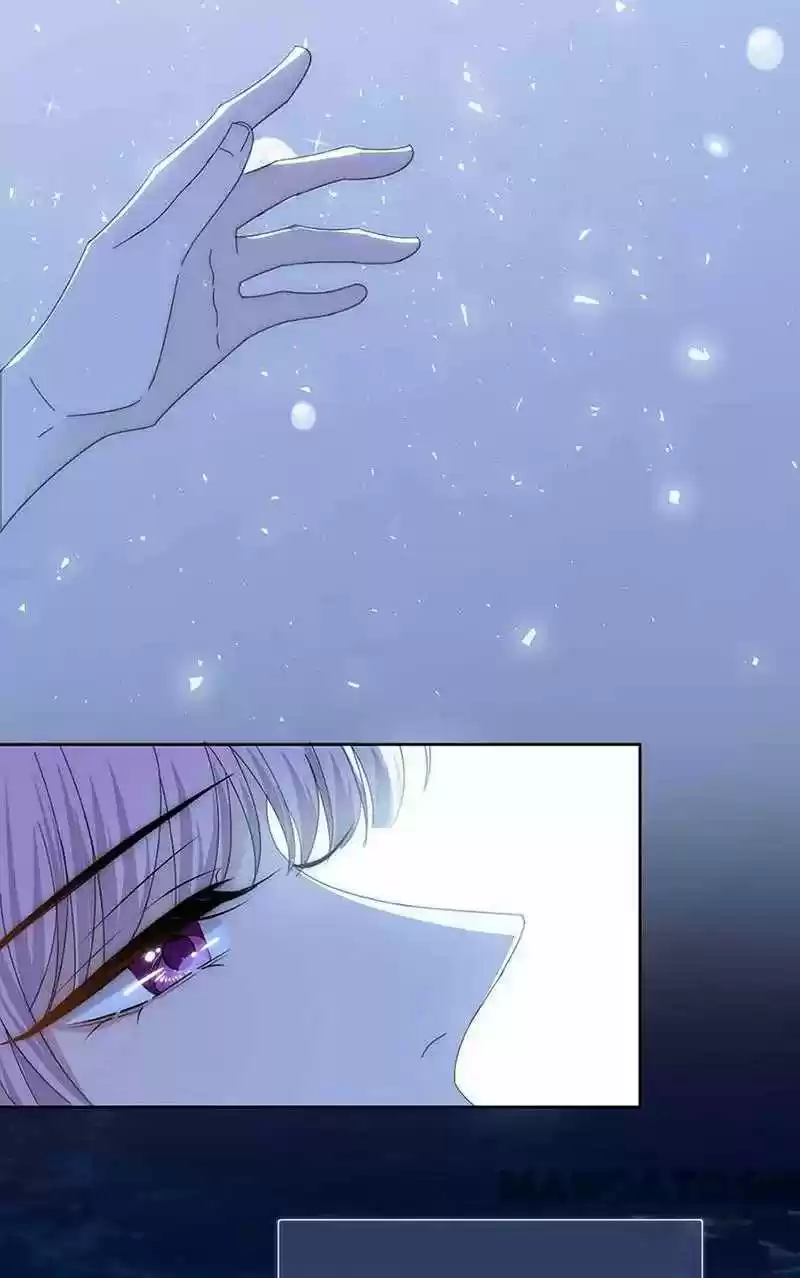 Evolution Of A Perfect Hubby Chapter 160