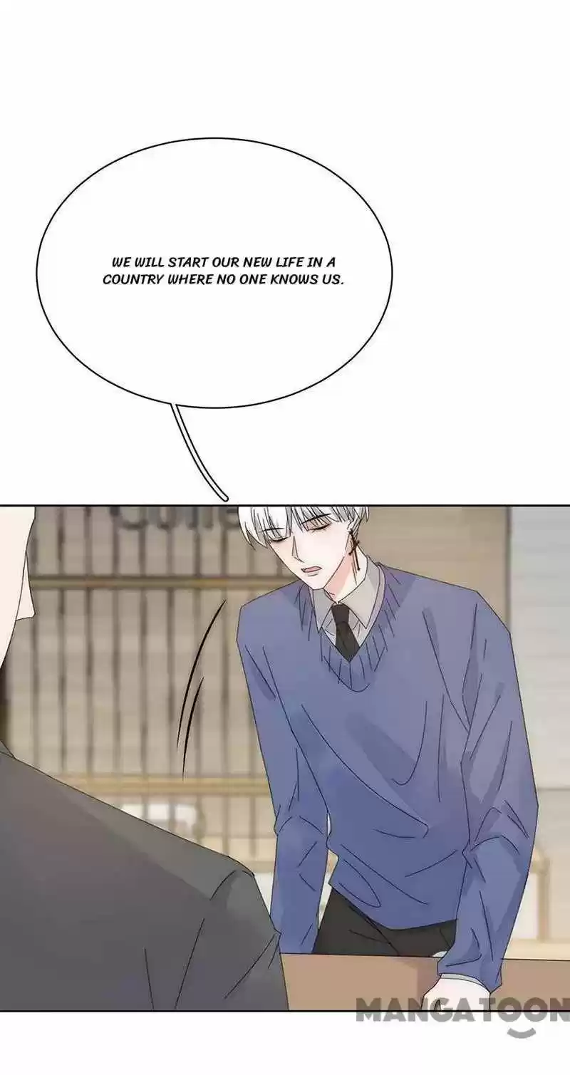 Evolution Of A Perfect Hubby Chapter 160