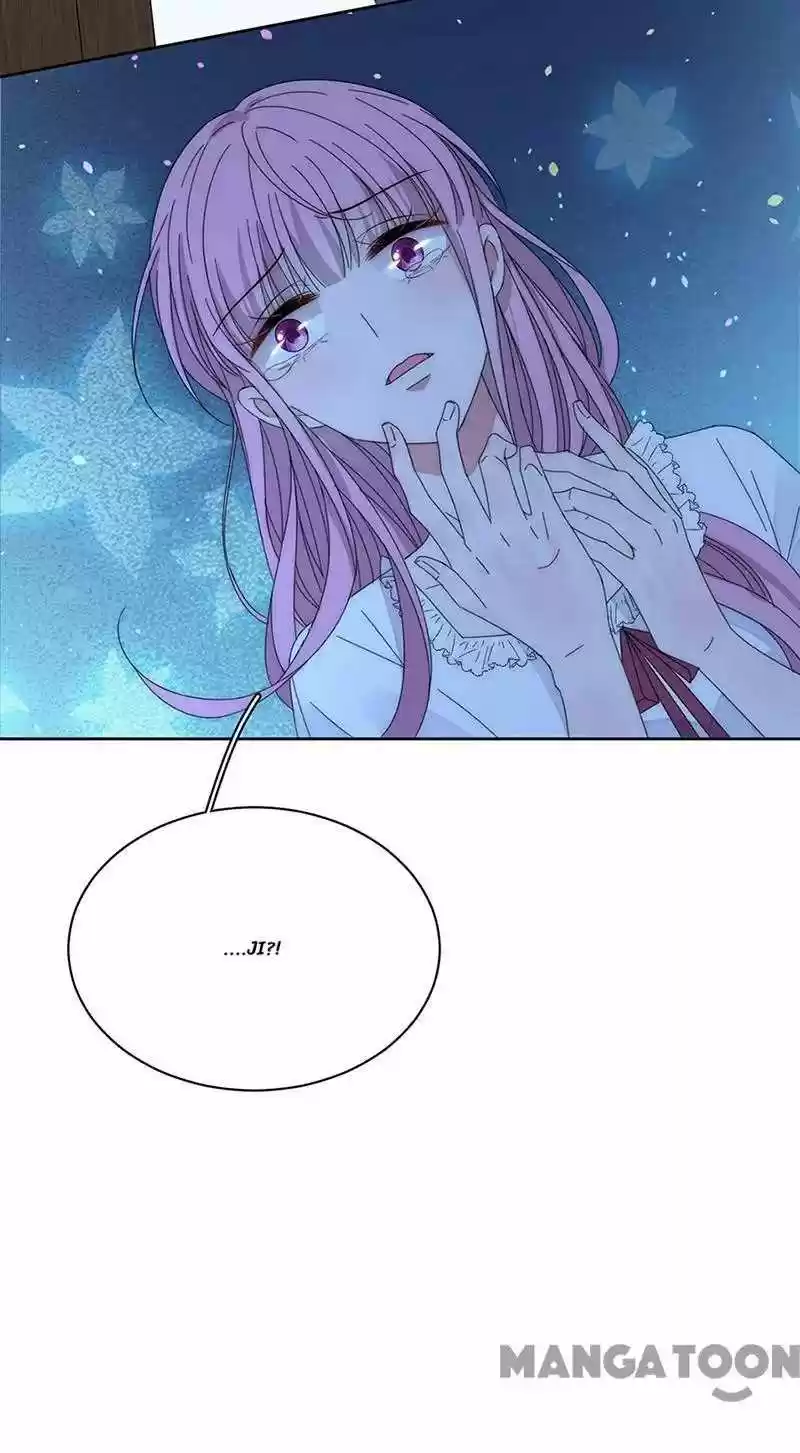 Evolution Of A Perfect Hubby Chapter 161