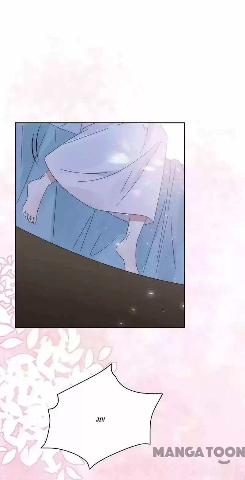 Evolution Of A Perfect Hubby Chapter 161