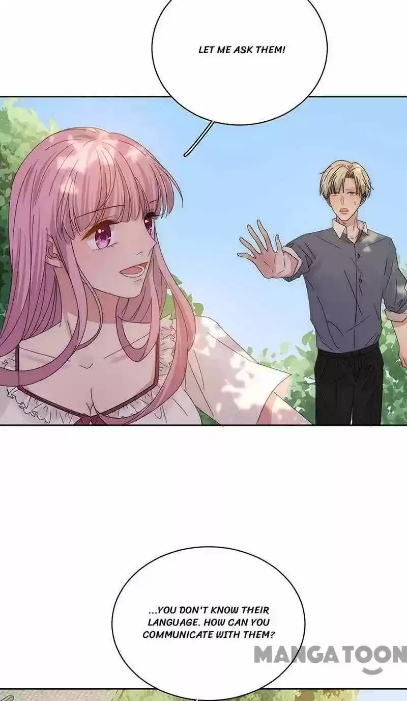 Evolution Of A Perfect Hubby Chapter 161