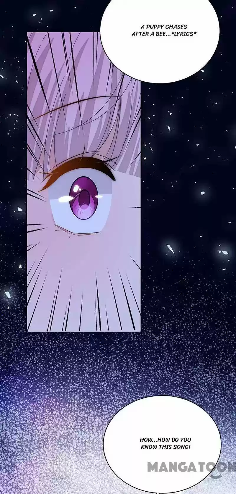 Evolution Of A Perfect Hubby Chapter 162