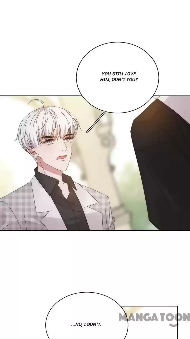 Evolution Of A Perfect Hubby Chapter 163