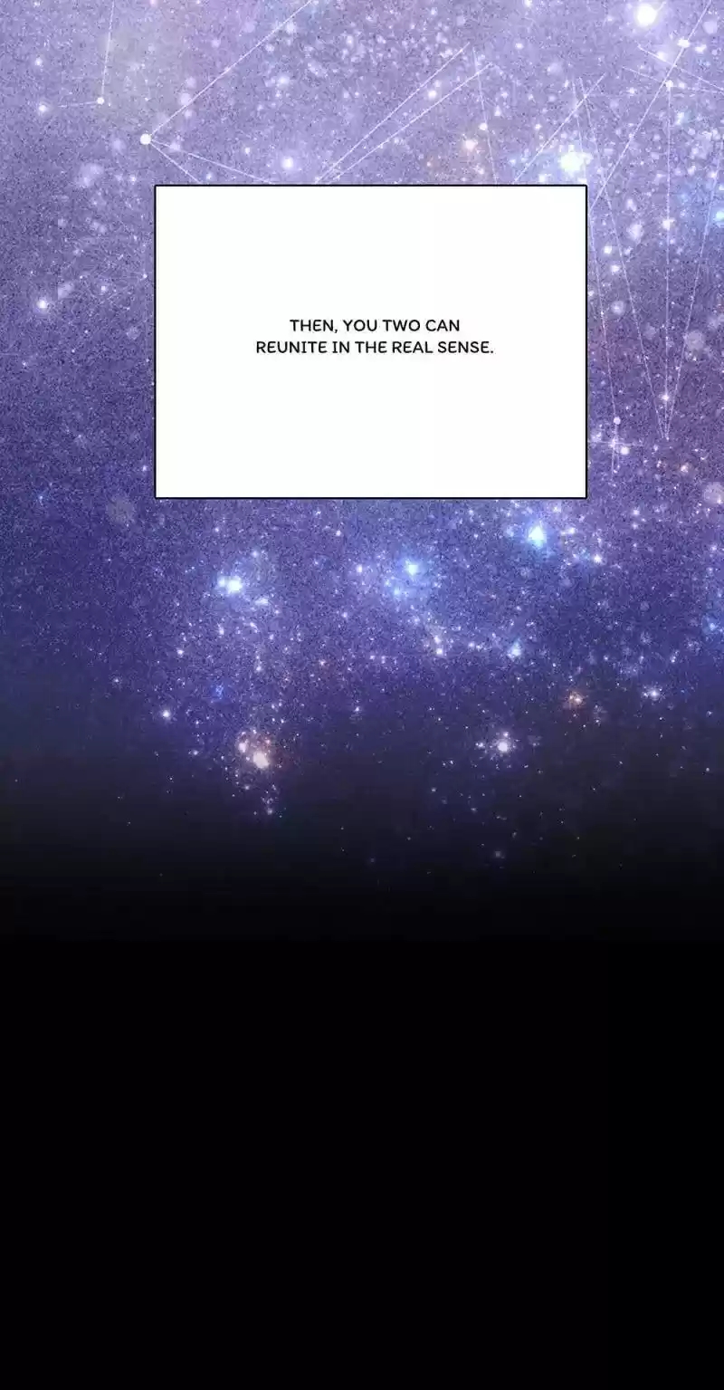 Evolution Of A Perfect Hubby Chapter 164