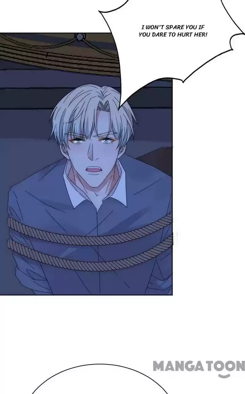 Evolution Of A Perfect Hubby Chapter 166