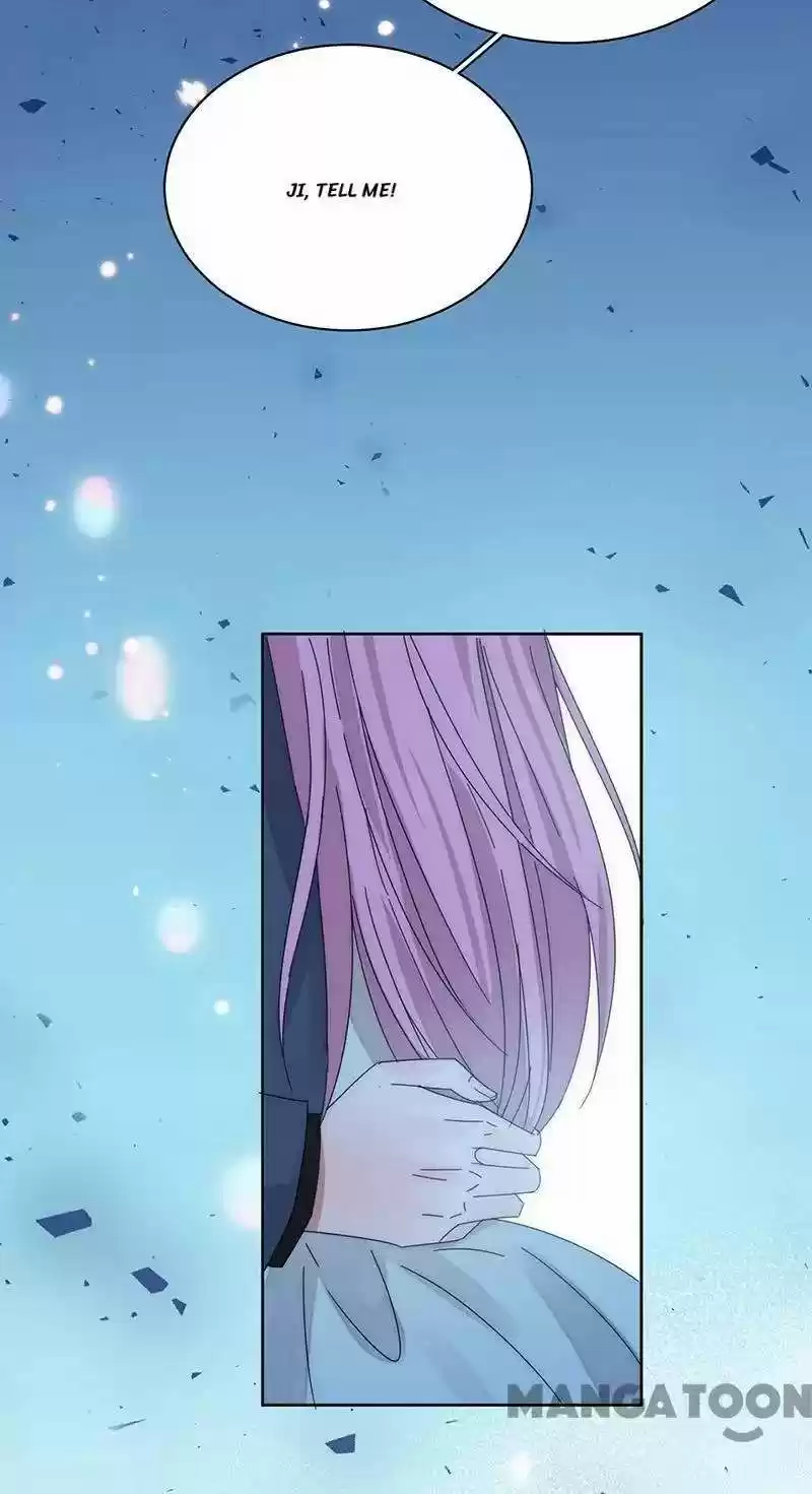 Evolution Of A Perfect Hubby Chapter 169