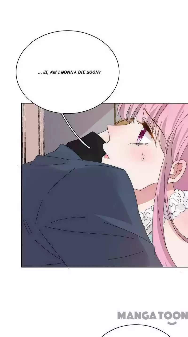 Evolution Of A Perfect Hubby Chapter 169