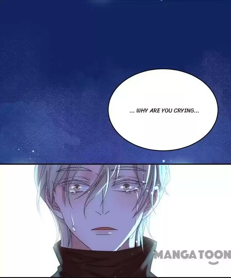 Evolution of a Perfect Hubby Episode 102