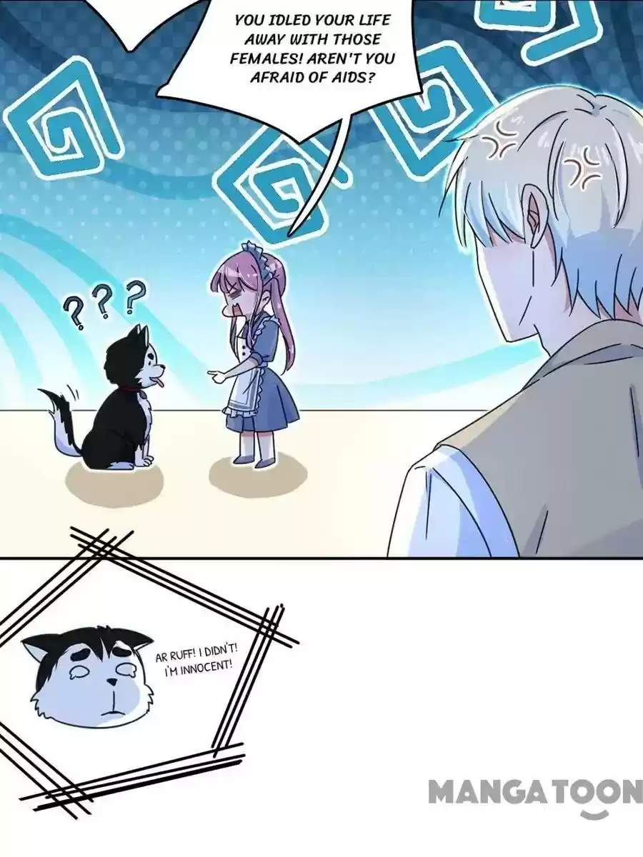 Evolution of a Perfect Hubby Episode 21