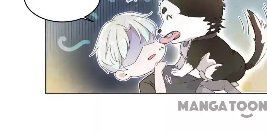 Evolution of a Perfect Hubby Episode 8