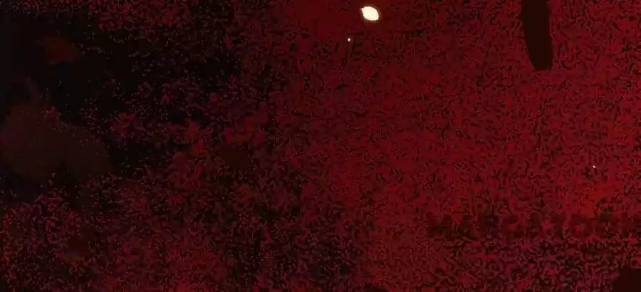 Evolution of a Perfect Hubby Episode 94