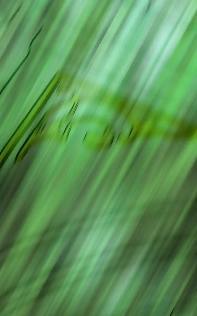 Eyes (Jung Summer) Chapter 88