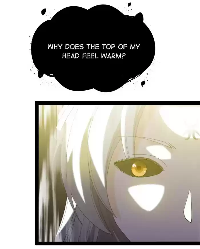 Fairy King's Daily Life Chapter 158