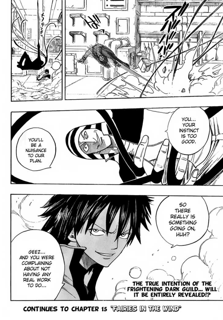 Fairy Tail 14