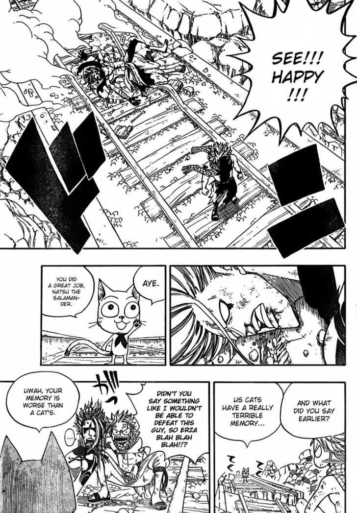 Fairy Tail 19