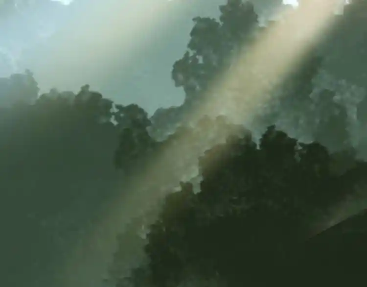 Fan From Heaven Chapter 1