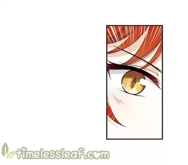 Feng Qi Cang Lan 136.5