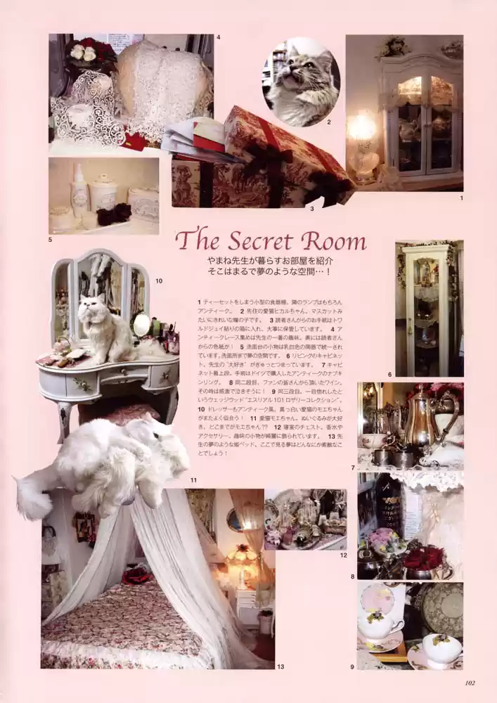 Finder Series Vol. 1 Ch. 3.3 Character book