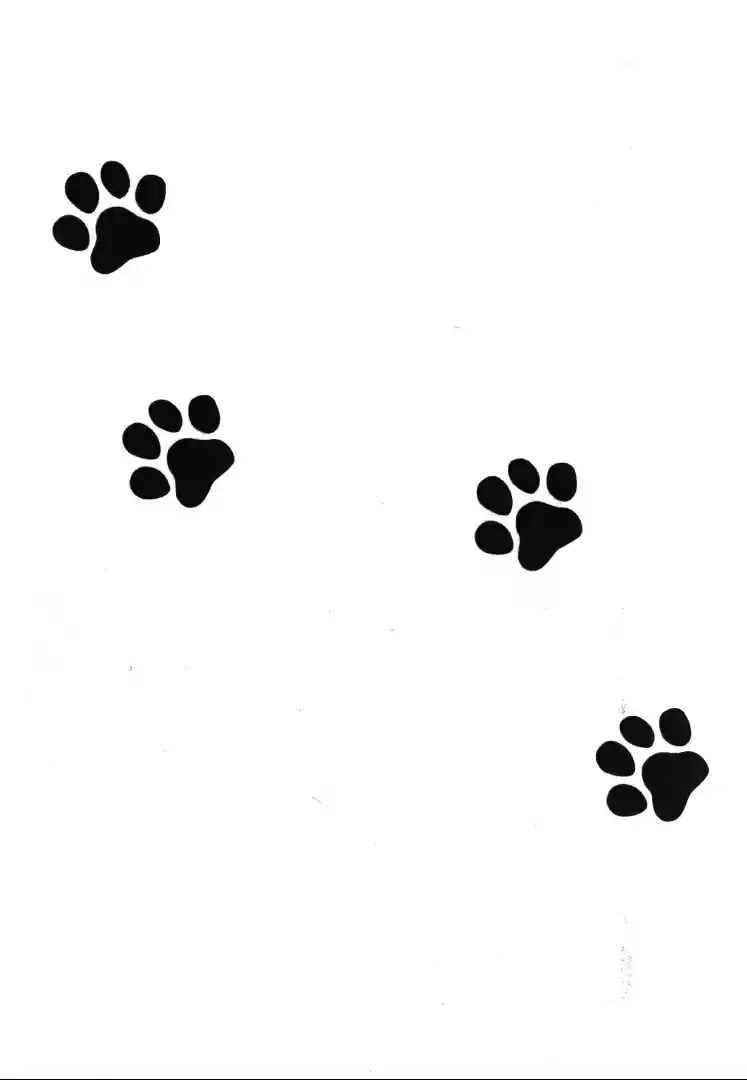 Finder Series Vol. 7 Ch. 9.4 Asami Ryuichi's Little Monster