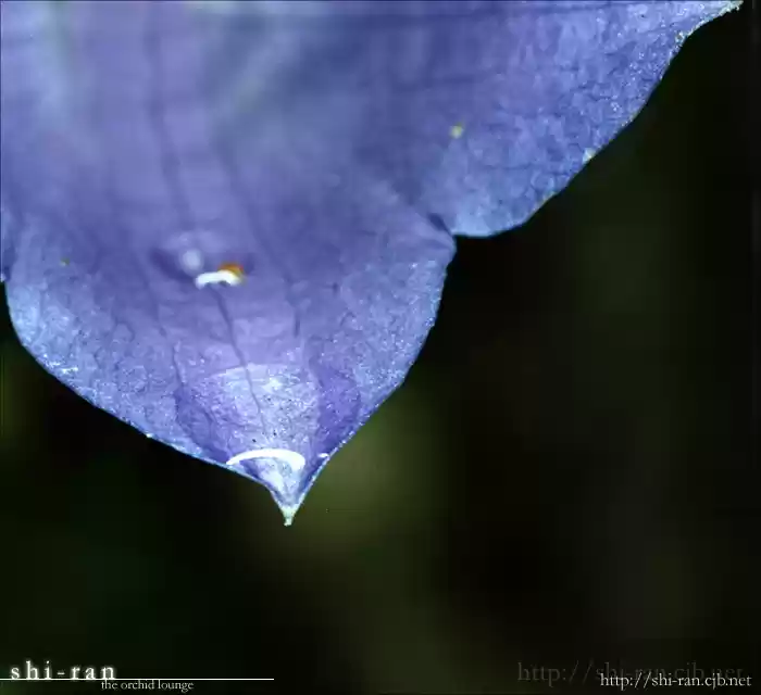 Finder Vol. 1 Ch. 2.6 Extra 2