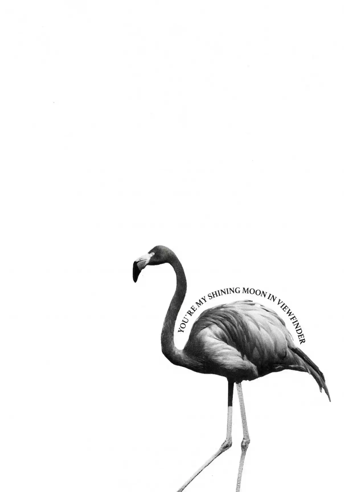 Finder Vol. 10 Ch. 65.5 Extra