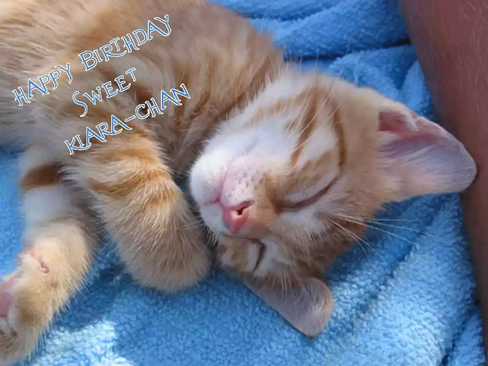 Finder Vol. 3 Ch. 13.6 Extra 2