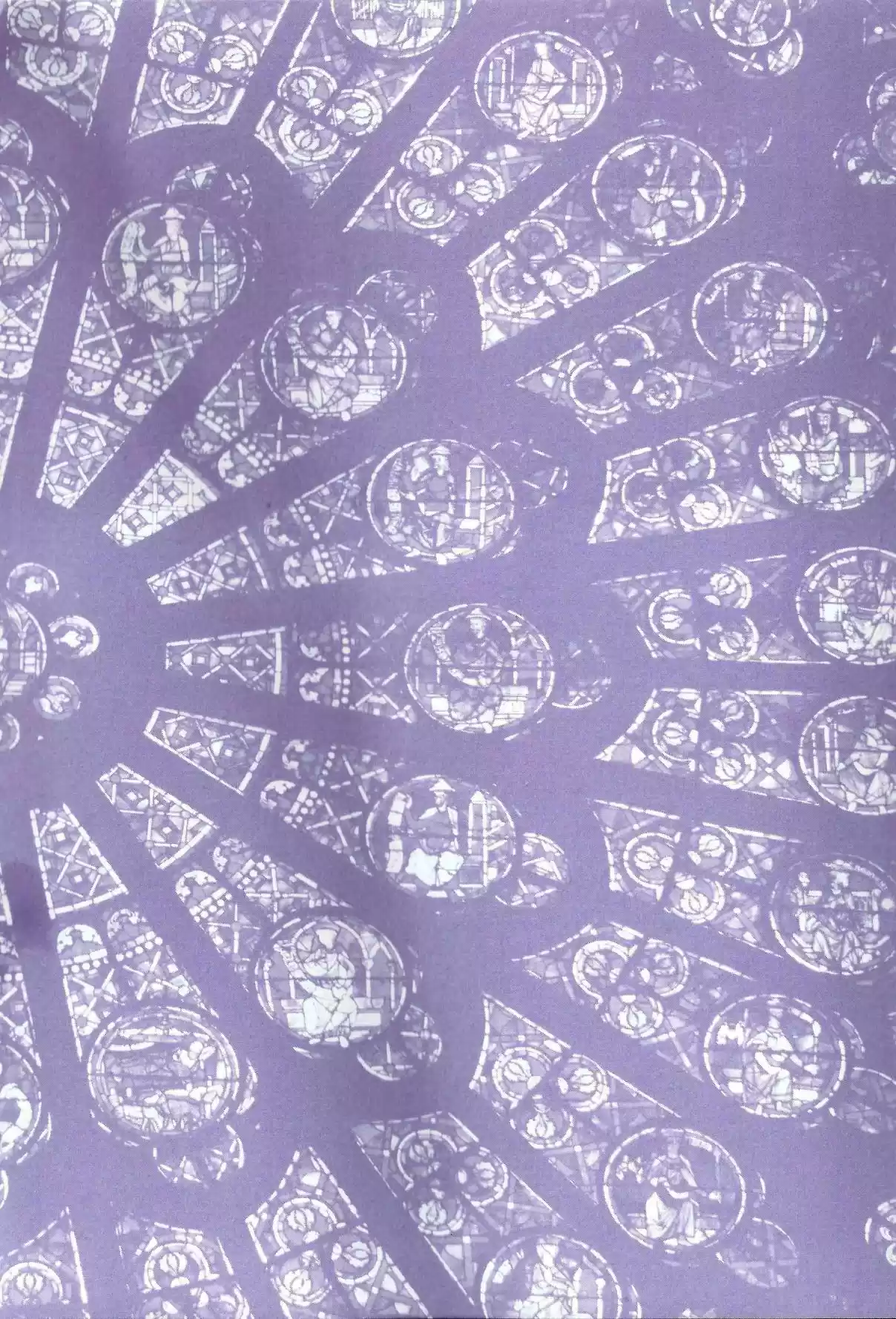 Finder Vol. 9 Ch. 58.6 Extra 2