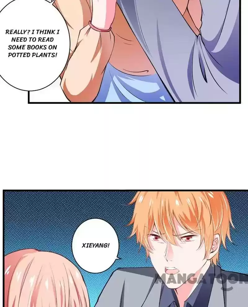 Flash Marriage Episode 100