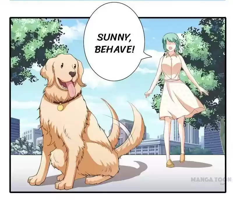 Flash Marriage Episode 43