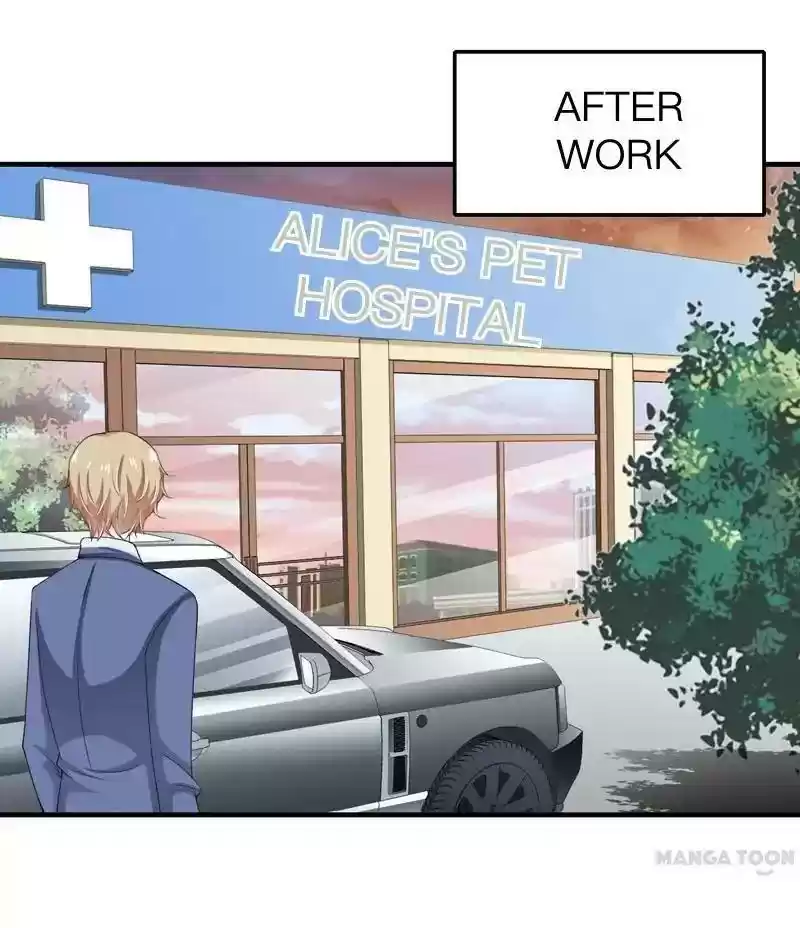 Flash Marriage Episode 50